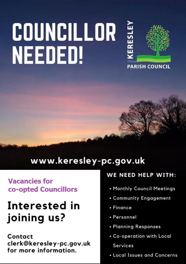 Councillors Needed!
